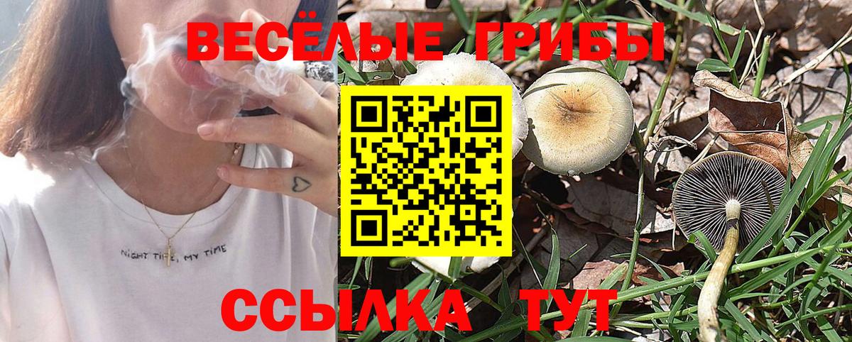 купить наркотики сайты  Псилоцибиновые грибы Magic Shrooms  Вход с VPN  Слободской 